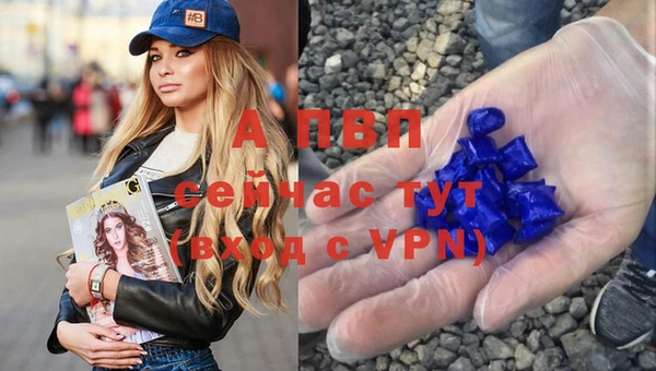 гашик Волоколамск