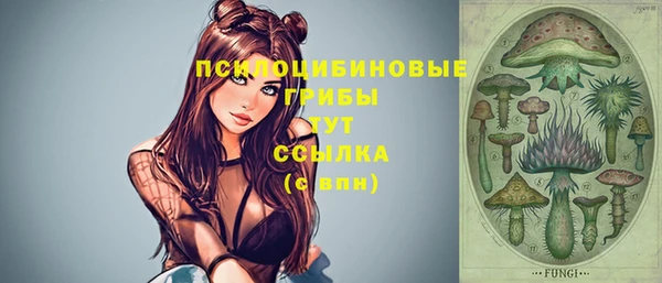шишки Сатка