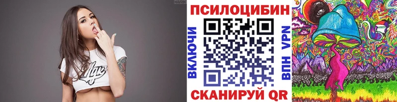Галлюциногенные грибы Psilocybine cubensis  Каменск-Шахтинский 