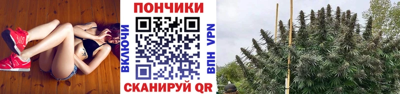 mega рабочий сайт  наркошоп  Каменск-Шахтинский  Шишки марихуана планчик 